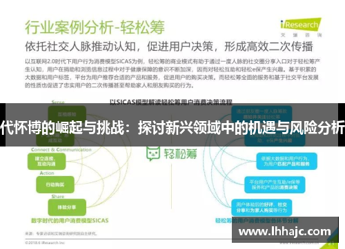 代怀博的崛起与挑战：探讨新兴领域中的机遇与风险分析